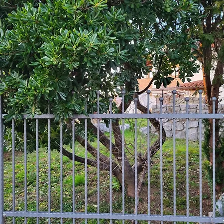 Apartmán Apartma Ob Meji Sempeter pri Gorici